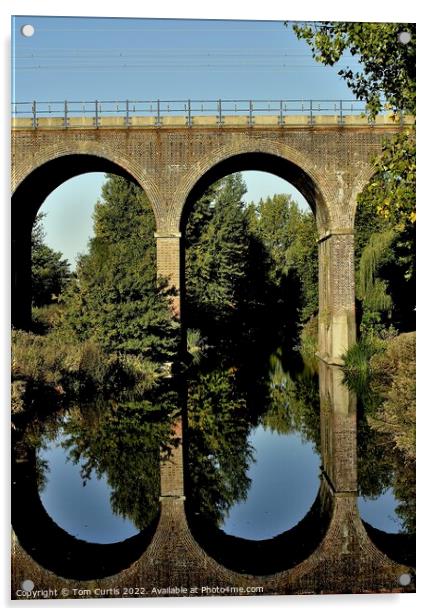 Railway Viaduct Chelmsford Acrylic by Tom Curtis