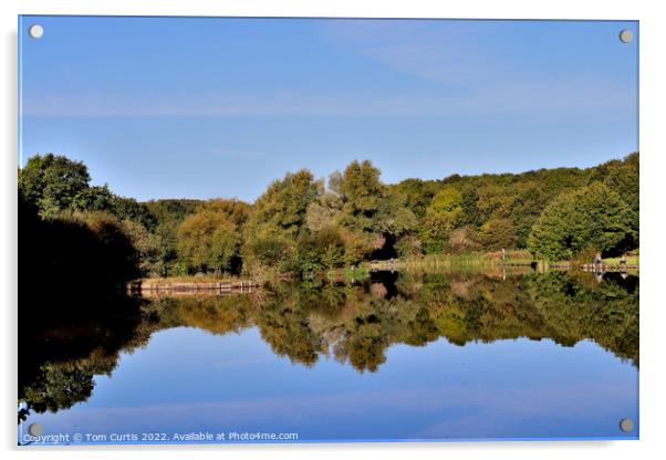 Dearne Valley Park Barnsley Acrylic by Tom Curtis