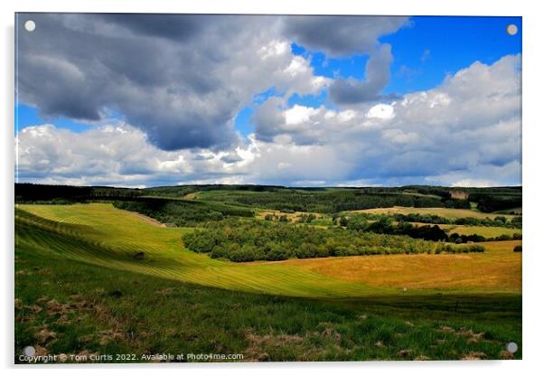 Kielder Landscape Northumberland Acrylic by Tom Curtis