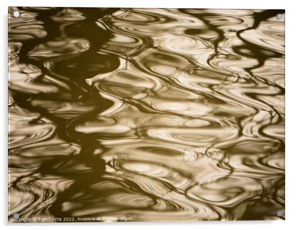 Ripples in Water Acrylic by Tom Curtis