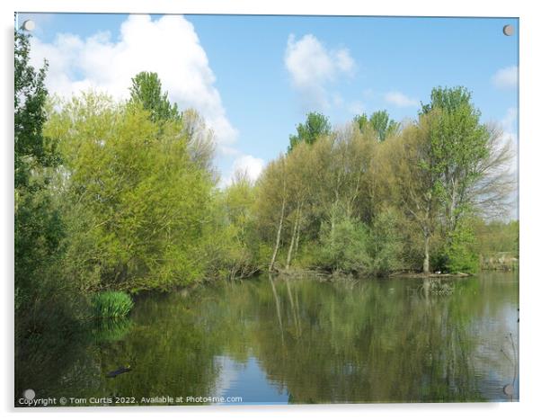 Lake with reflections of trees and sky Acrylic by Tom Curtis