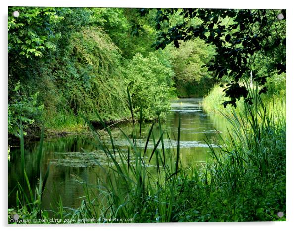 Barnsley Canal Acrylic by Tom Curtis