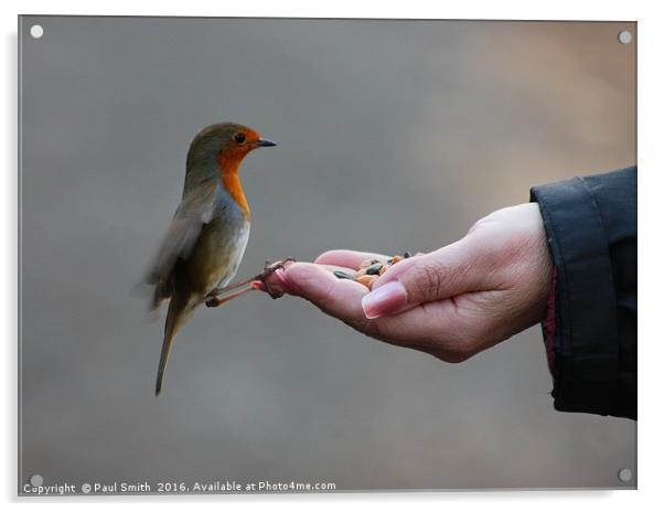 A Bird In The Hand Acrylic by Paul Smith