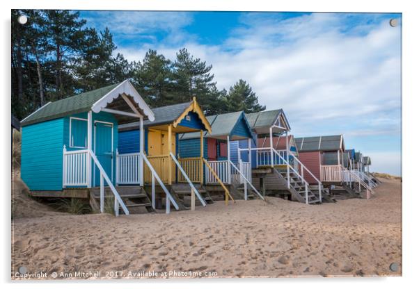 Wells Beach Huts Acrylic by Ann Mitchell