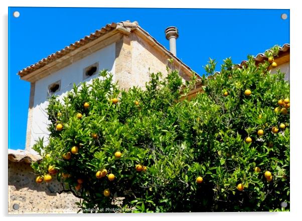 The Lemon Tree Acrylic by john hartley