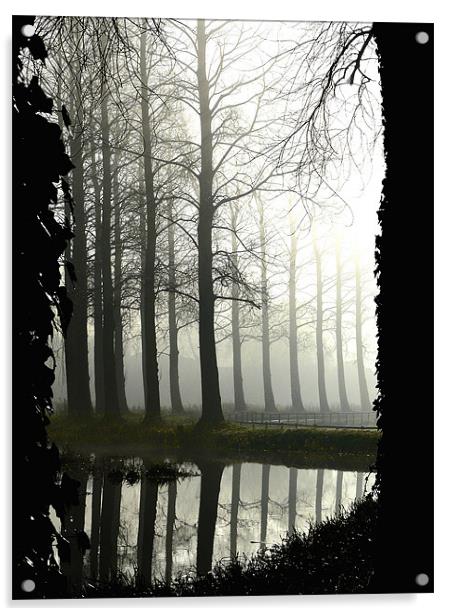 Mist River -shrouded in mist Poplar Tress by the R Acrylic by john hartley