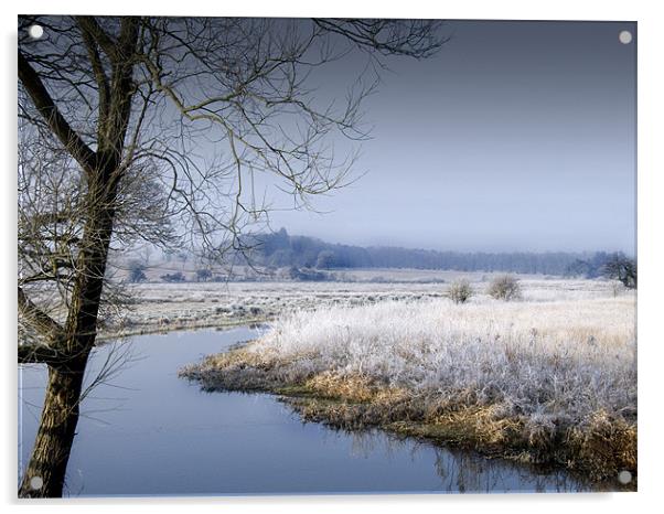 Frosty Morning by the River Wensum Norfolk Acrylic by john hartley