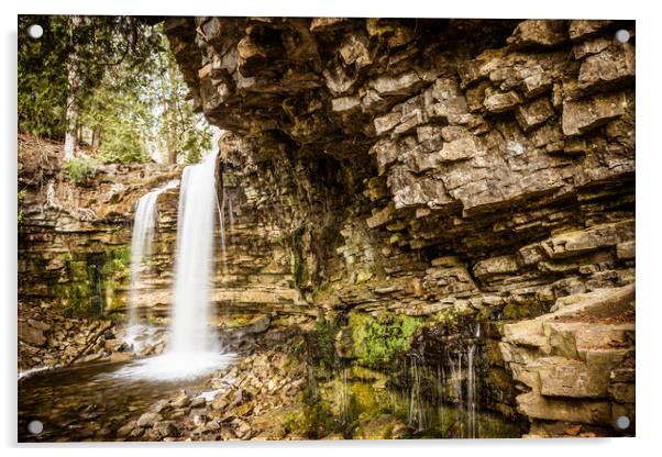 Hilton Falls Conservation Acrylic by Roxane Bay