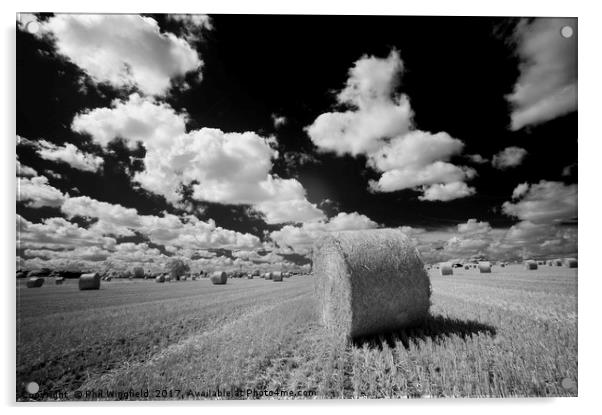 Straw Bale - Barleylands Acrylic by Phil Wingfield