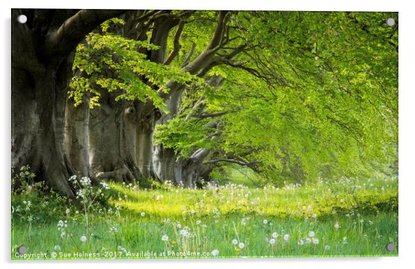 Kingston Lacy in the Spring Acrylic by Sue Holness