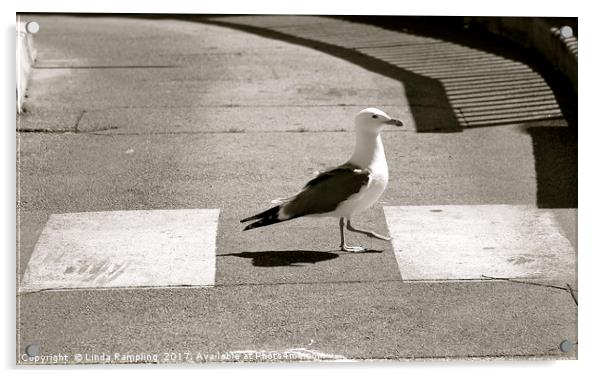 Seagull Crossing Acrylic by Linda Rampling