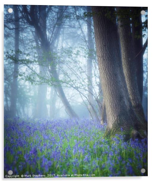 Bluebells In The Mist Acrylic by Mark Stephens