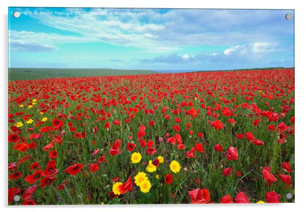 West Pentire Poppy Field in Cornwall Acrylic by Simon Maycock