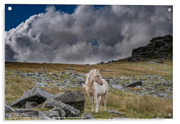 White horse at Roughtor Bodmin Acrylic by Simon Maycock