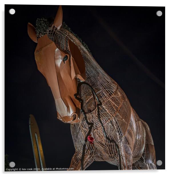 War Horse Acrylic by kevin cook