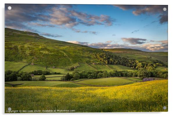 Swaledale buttercups Acrylic by kevin cook