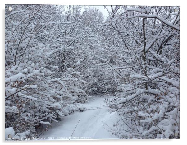 Winter Touched Trail Acrylic by Tylor Plasschaert