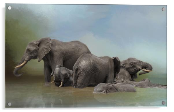 Elephants at water hole Acrylic by David Owen