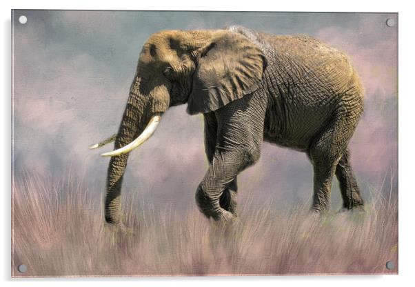 Lone Elephant Acrylic by David Owen