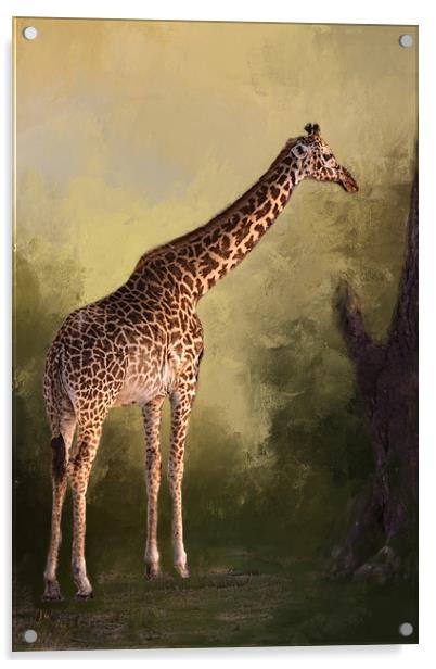 Giraffe Acrylic by David Owen