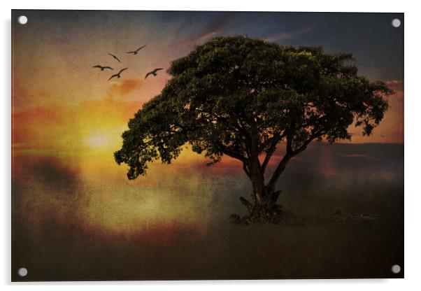 African Tree Acrylic by David Owen
