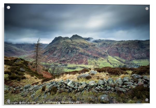 Langdale Pikes Acrylic by Phil Buckle