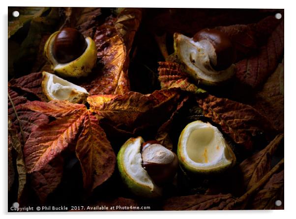 Autumn Conkers Acrylic by Phil Buckle
