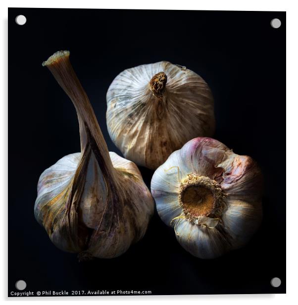 Garlic Bulbs Acrylic by Phil Buckle
