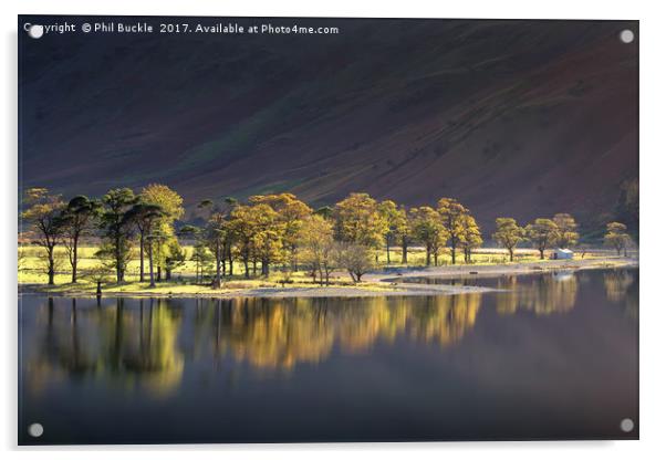 Afternoon Light on Buttermere Acrylic by Phil Buckle