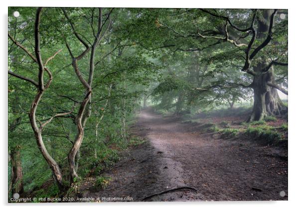 Gelt Woods Footpath Acrylic by Phil Buckle