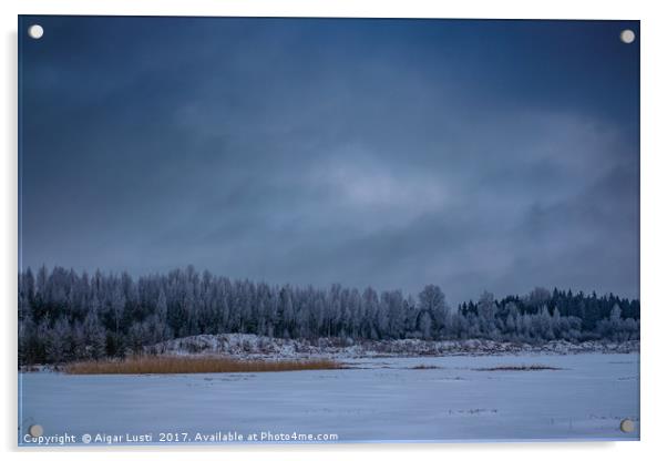 Winter blues Acrylic by Aigar Lusti