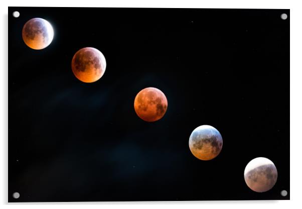 Through a lunar eclipse Acrylic by Alf Damp