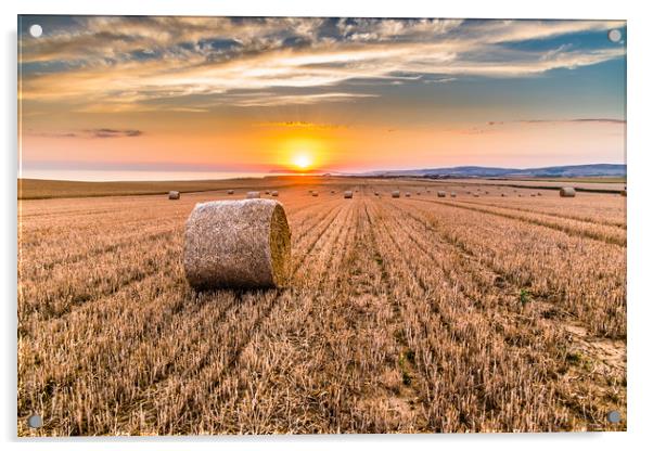 Round straw bales at susnset Acrylic by Alf Damp