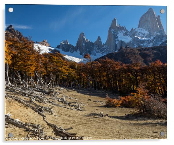 Patagonian Landscape Acrylic by David O'Brien