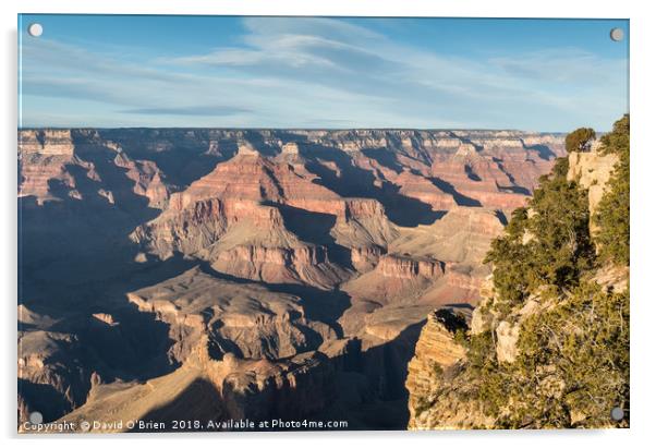 Grand Canyon View Acrylic by David O'Brien