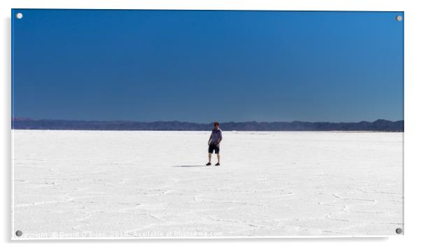 Salt Plains: Salinas Grandes, Argentina Acrylic by David O'Brien