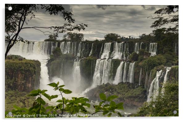 Iguazu Falls Acrylic by David O'Brien