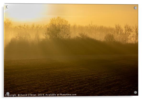 Early morning rural scene Acrylic by David O'Brien