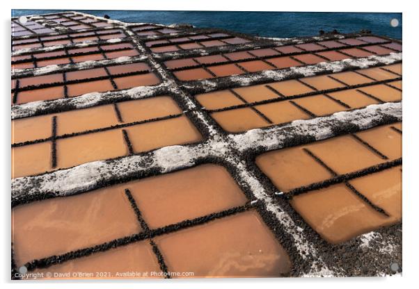 Salt Pans at Fuencaliente Lighthouse  Acrylic by David O'Brien