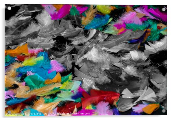 Coloured Feathers Acrylic by Trevor Lloyd