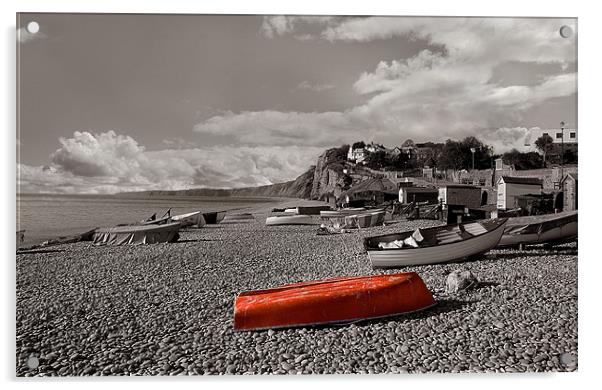 Budleigh beach Acrylic by Malcolm Smith