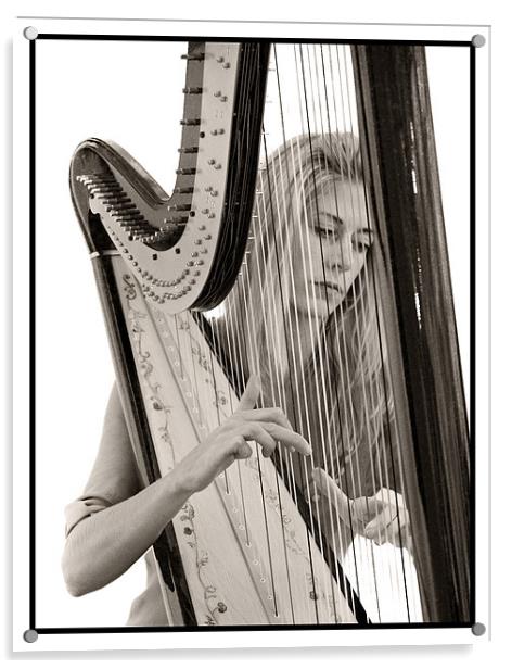 Portrait of the Harpist Acrylic by Malcolm Smith