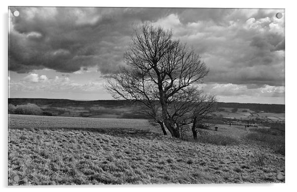 North Downs Landscape Acrylic by Malcolm Smith