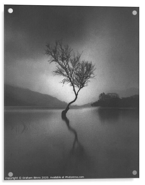 Llanberis Lone Tree, Llyn Padarn Caernarfon Wales Acrylic by Graham Binns