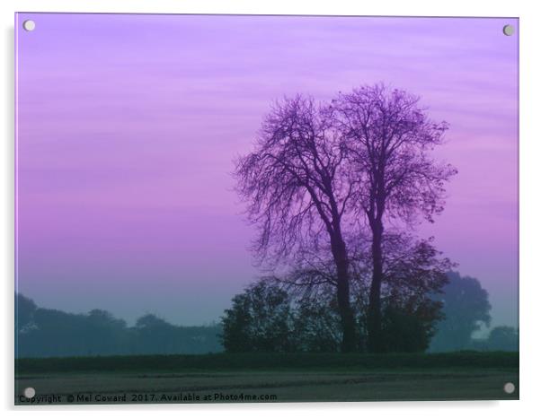 Lilac Sky as the Crows Fly Acrylic by Mel Coward