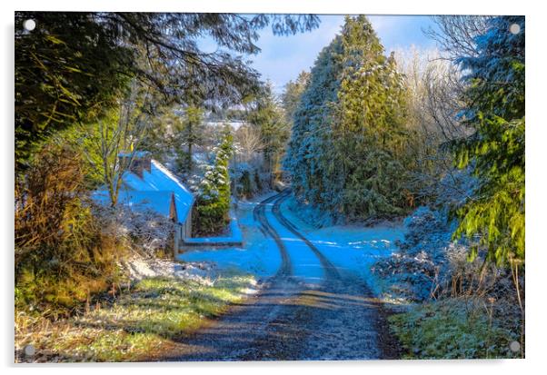 Winter wonderland Acrylic by Paddy Geoghegan