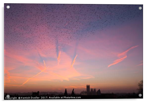 Canterbury Cathedral Dawn and a Flock of Starlings Acrylic by Kentish Dweller