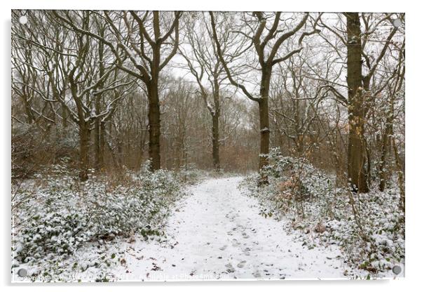 Snow in The Blean Acrylic by Kentish Dweller