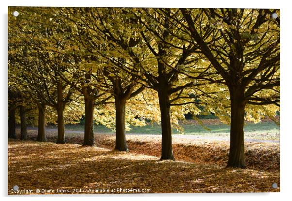 Tree lined path Acrylic by Diane Jones