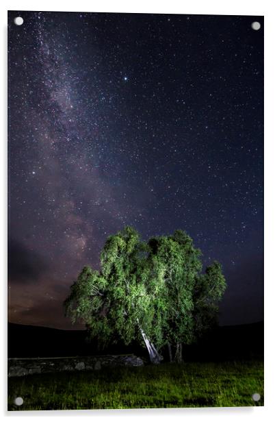 Elan Valley MilkyWay over Welsh Sheep Pens Acrylic by Sorcha Lewis